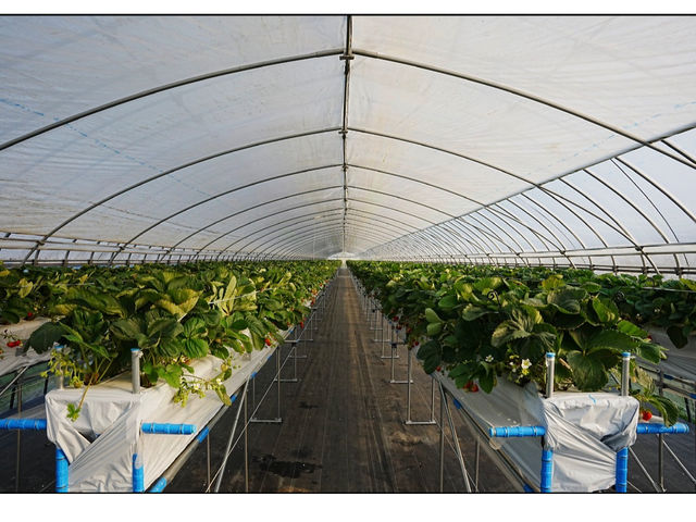 �ۖk�������_��