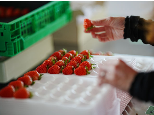 �ۖk�������_��