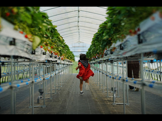 �ۖk�������_��