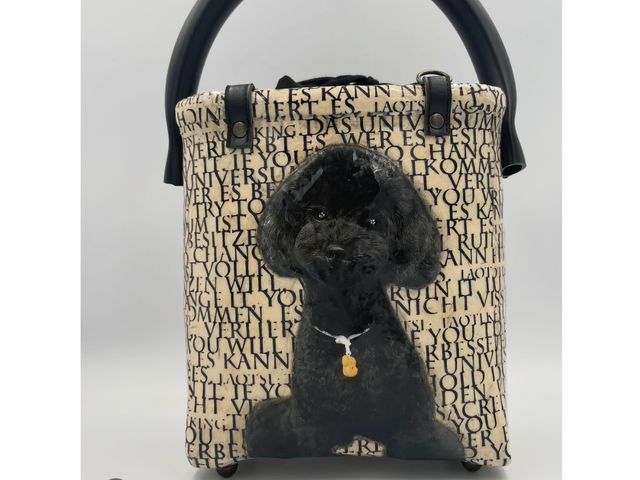 �a����������