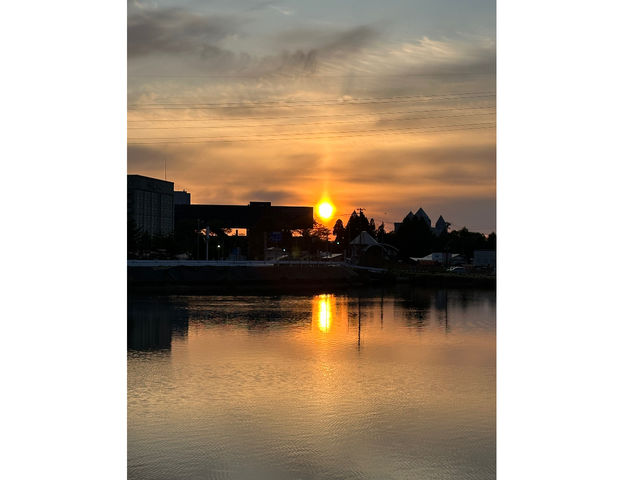 �T�������猩����[�z�͂܂�ŃA���R�[�����b�g�̂悤�Ă܂�_studio BIGI