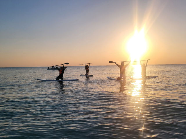 ����SUP_LIFE