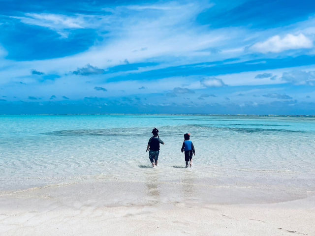 �S�����l_LIFE