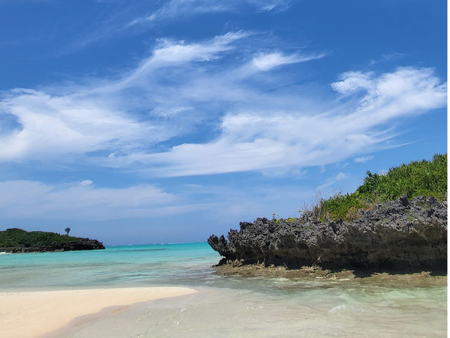 �D�q�C��_LIFE