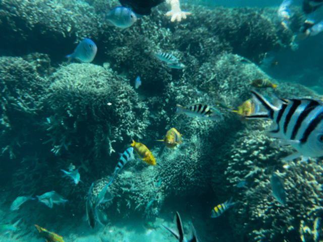 �ԍ�X��̐X_LIFE