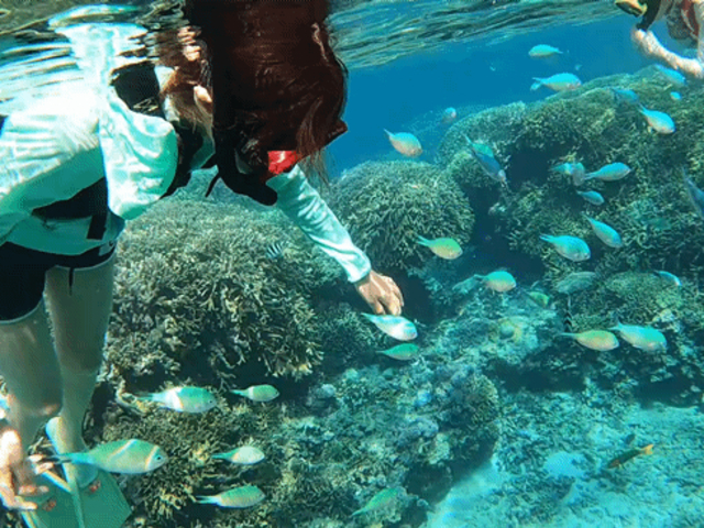 �ԍ�X��̐X_LIFE