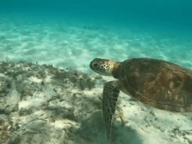 �E�~�K���Ɖj��_LIFE