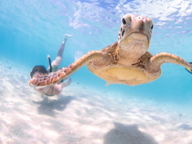 �E�~�K���Ɖj��_LIFE