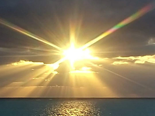 �T�����C�Y_LIFE