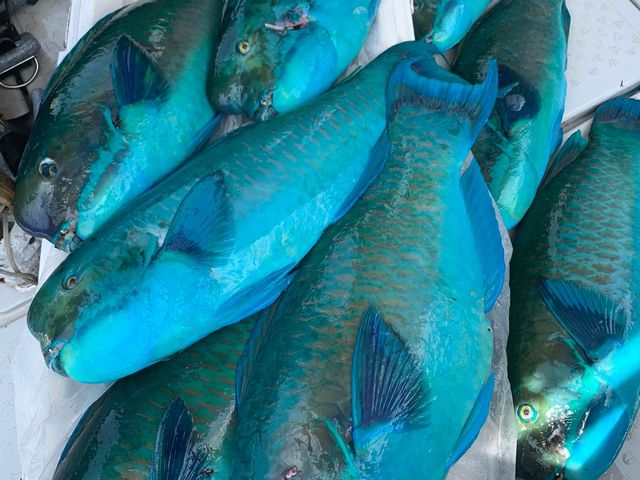 �i�����E�u�_�C_LIFE