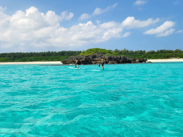 �{�[�g�ѓ��h���t�gSUP_LIFE