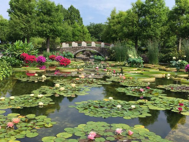 ���Îs�������A�������݂��̐X�̎ʐ^1