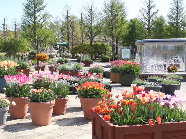 ���Îs�������A�������݂��̐X