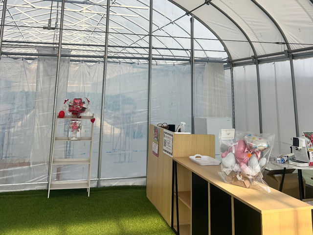 K-FARM�������n�E�X