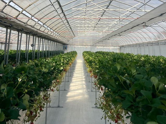 K-FARM�������n�E�X