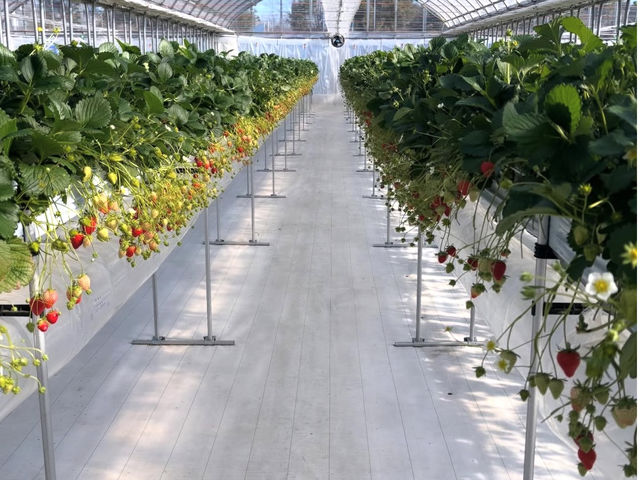 K-FARM�������n�E�X