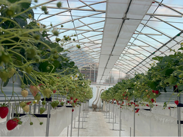 K-FARM�������n�E�X