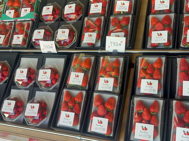 K-FARM�������n�E�X