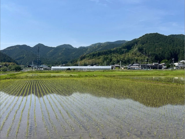 ���R�L���ł��ꂢ�ȏꏊ�ł��B_�X�_�l