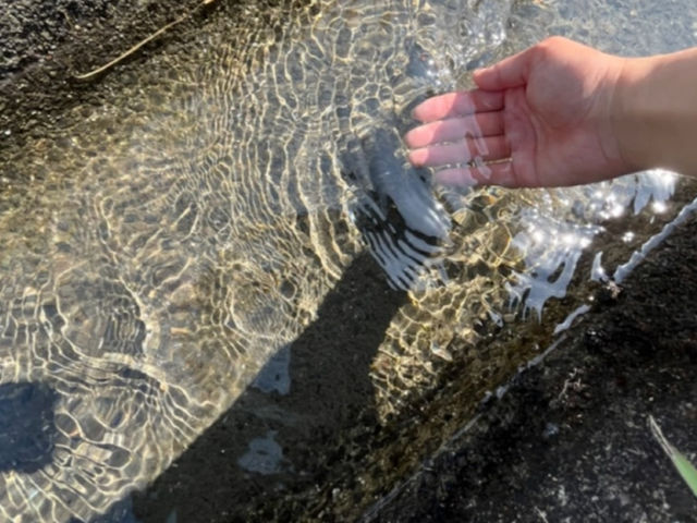 �������̓c���̎����͂Ȃ�Ƃ����Ă����̐��I�����x�������ł���B_�X�_�l