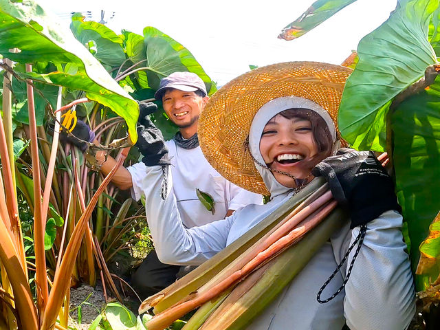 �I�k���̓`���H�E�����Ђ�������Ă��܂�_�X�_�l