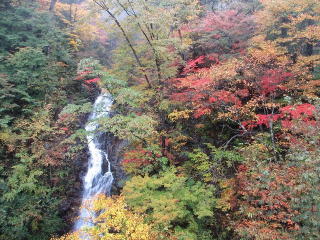 �O�����i�H�j_�w�����ό�����