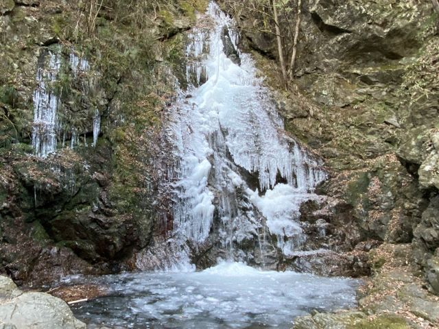 �w�����ό�����̎ʐ^1