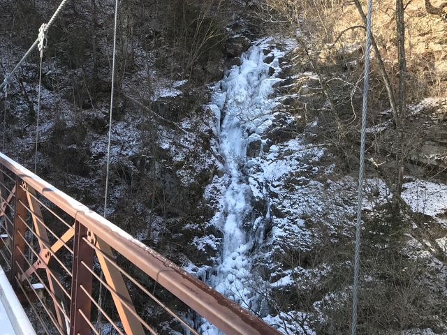 �O�����i�~�j_�w�����ό�����