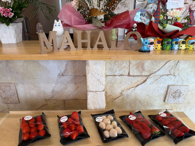 �������E����������t_�}�n���t���[�c�t�@�[��