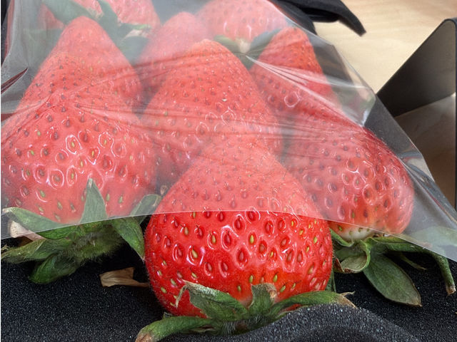 ���������Ō��������D�݂̕i������y�Y�Ɂ�_�}�n���t���[�c�t�@�[��