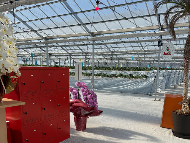 �R�[�g�|���E���t�����b�J�[�L_�}�n���t���[�c�t�@�[��