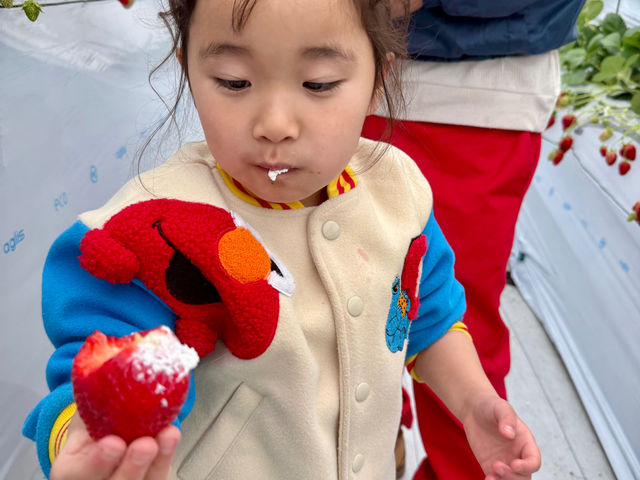 �\�[�X������莩�R�ɂ���ƃz�C�b�v�N���[����`���R���[�g�A�������񓙐F�X�Ȗ������������������܂��I_�}�n���t���[�c�t�@�[��