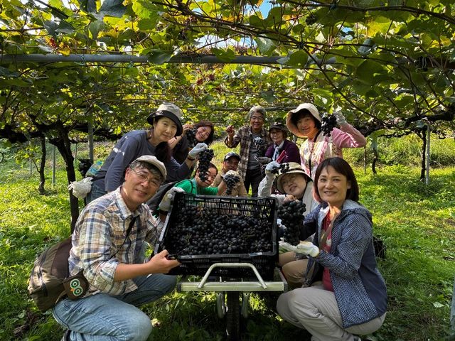 ���Y�҂Ƌ��ɁA�Ԃǂ��̎��n���烏�C���Â���Ɋւ��̌��^�v���O�����B_�������э������