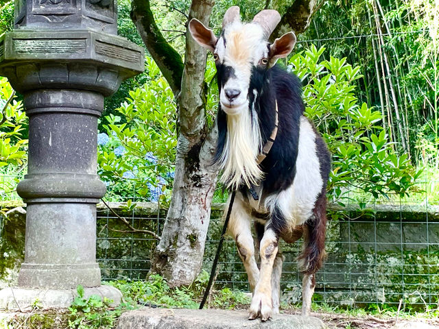 �ӂꂠ���q�ꃄ�M�[�Y�����h