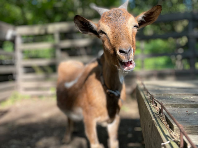 �ӂꂠ���q�ꃄ�M�[�Y�����h