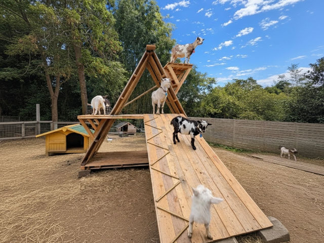 �����������ӂȃ��M�̔\�͂��ő�������ł���悤�ɁA���M�̂��߂ɃA�X���`�b�N������B���M�������y�������ɗV�ԗl�q�����ɗ��Ă��������B_�ӂꂠ���q�ꃄ�M�[�Y�����h