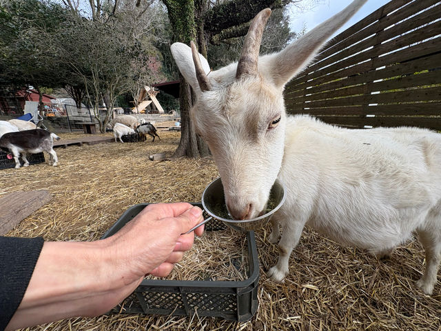 �ӂꂠ���q�ꃄ�M�[�Y�����h