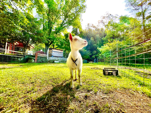 �ӂꂠ���q�ꃄ�M�[�Y�����h