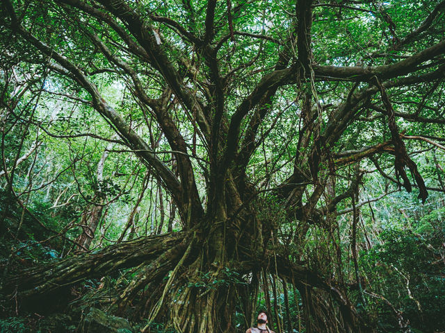 1���g���b�L���O�̋��؃c�A�[�ł́A����Ȑ�i�����ē��������܂��B_�l�C�`���[�K�C�h����