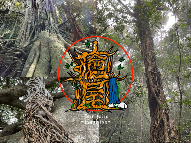 �����v�����̑�c�A�[�ē��X�|�b�g
�V��ɍ��E���ꂸ���{�\�ȃv�����ł��I
����̓��͂������A�J���Ɨ΂��[�݂𑝂����z�I�ȕ��i������w�ۗ����܂��B_�l�C�`���[�K�C�h����