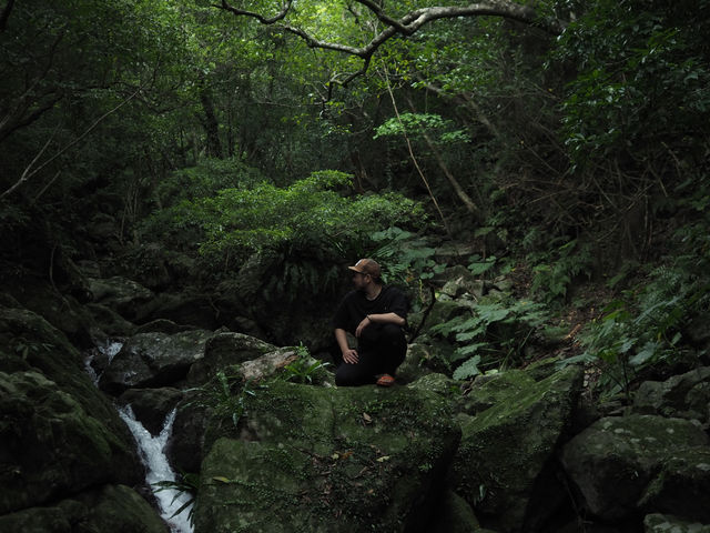 �����ł͉������܂�̓��l���鋫�̑��g���b�L���O�ŋ��؂����ē��v���܂��B
�����̐X������A��̉��ɐg���������鎞��
�������Ȃ����Ԃ��y���ރc�A�[�ł��B_�l�C�`���[�K�C�h����