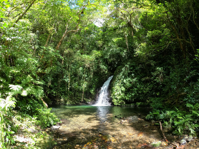 ���s�[�^�[�l�ŏ����㋉�җl�́A��o��c�A�[���J�Â��Ă��܂��B_�l�C�`���[�K�C�h����