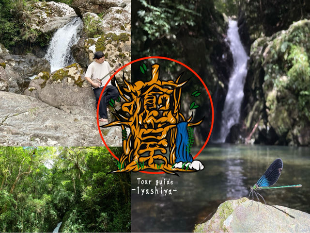 �l�C�`���[�K�C�h�����̎ʐ^1