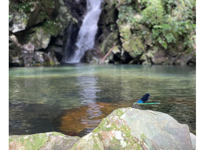 �����̔������󏭂Ȑ����������ƐG�ꍇ����
����������c�A�[�̑�햡�ł��B_�l�C�`���[�K�C�h����