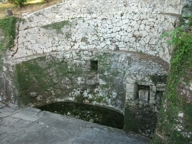 ��������̎ʐ^1