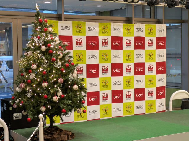 �Ȃ�ρ[���̎ʐ^1