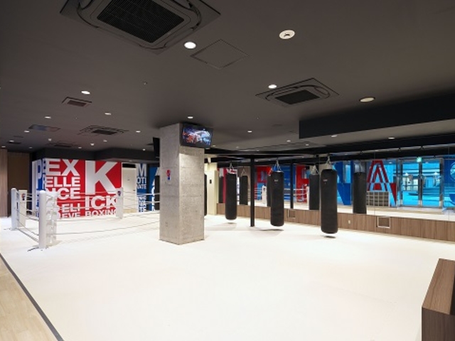 �L�b�N�{�N�V���O�W�� ���t�B�i�X�a�J�{�X�̎ʐ^1