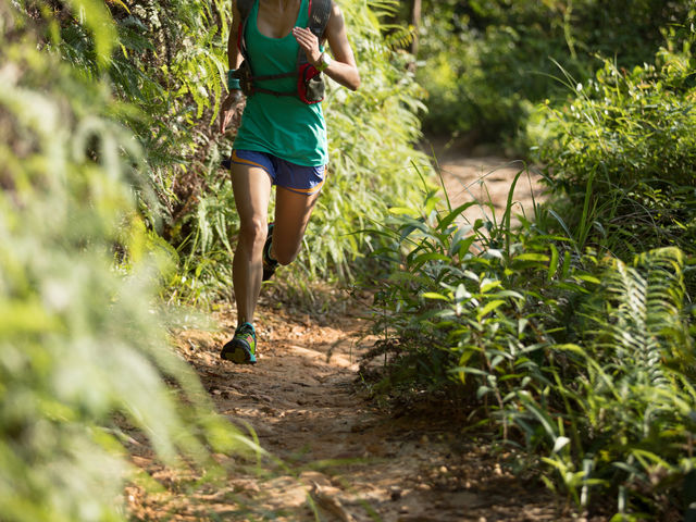 �g���C�������j���O_�L���n�[�g�p�[�N�N���u