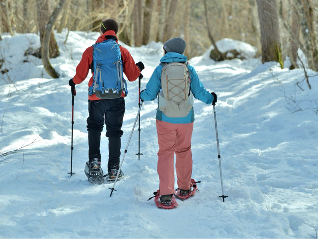 �X�m�[�V���[�n�C�N_�L���n�[�g�p�[�N�N���u