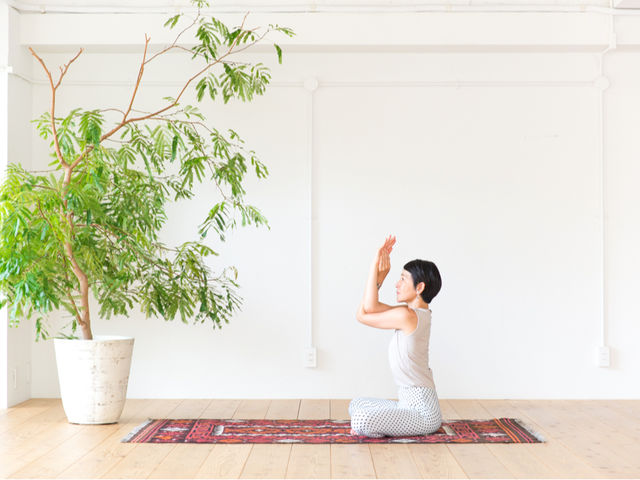 STUDIO���K_�L���n�[�g�p�[�N�N���u